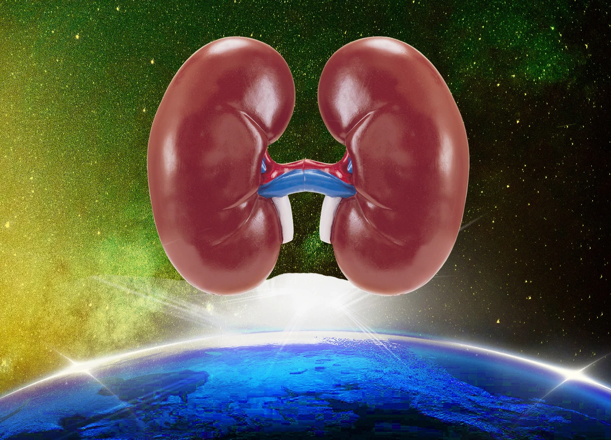 WORLD KIDNEY DAY: WORLDWIDE HEALTH AWARENESS