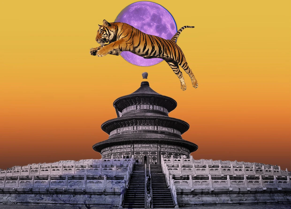 PREPARE FOR THE UPCOMING WATER TIGER YEAR