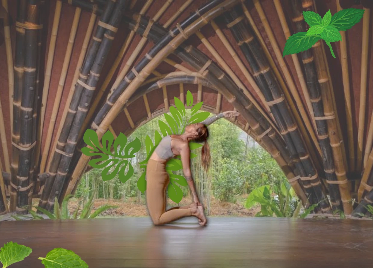 ALCHEMY YOGA AND MEDITATION CENTER: ACHIEVING BALANCE OF MIND, BODY, AND SOUL
