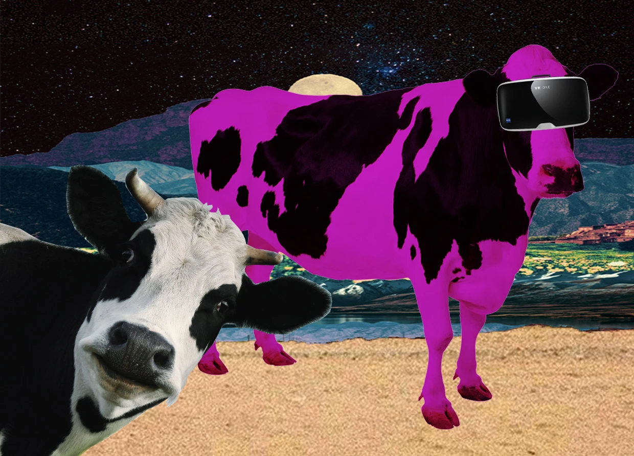 VIRTUAL REALITY NOW BEING USED TO MAKE COW'S MILK