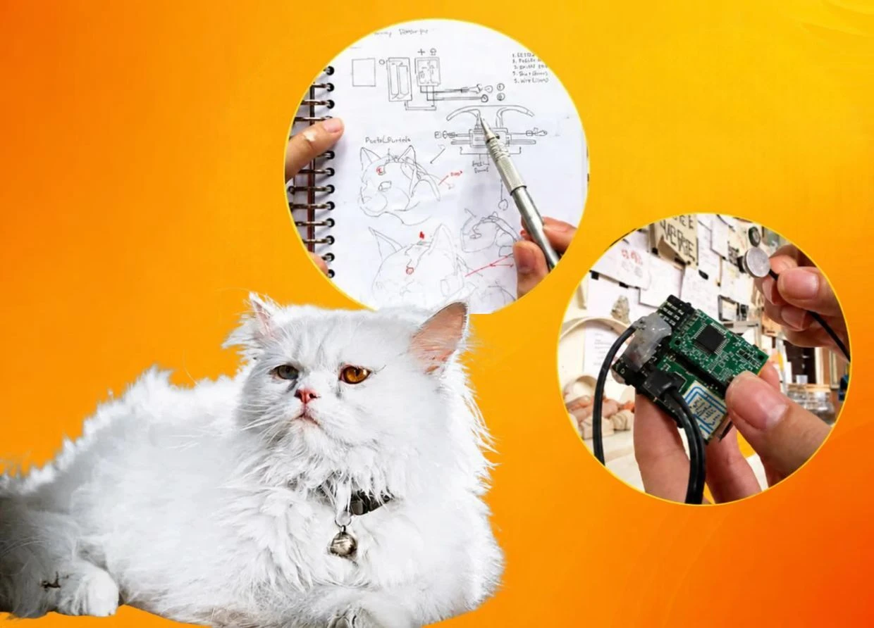 THIS ITB STUDENT BUILT A CAT BRAINWAVE TRANSLATOR. IT DOESN'T TRANSLATE MEOWS. 