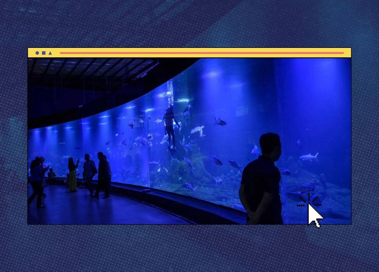 AQUARIUM INDONESIA PANGANDARAN BECOMES A TOURIST DESTINATION TO EDUCATE CHILDREN ABOUT MARINE ECOSYSTEMS