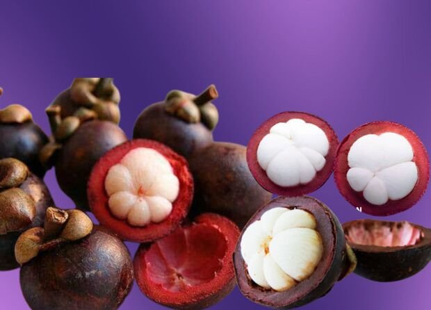 INDONESIA'S MANGOSTEEN: THE TROPICAL QUEEN THE WORLD IS HUNTING FOR