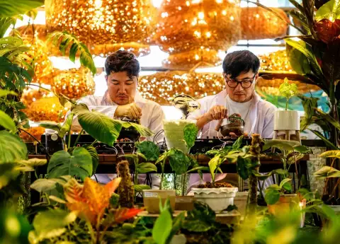 BOTTLESMOKER'S PLANT MUSIC: BANDUNG DUO MAKES NATURE SING 