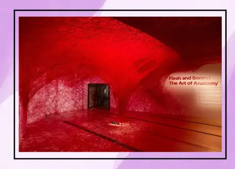 INSIDE FLESH & BONES: HOW HUMANS LEARNED TO SEE SELVES