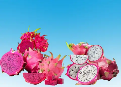 DRAGON FRUIT FROM AN OSING VILLAGE NOW SELLS IN HONG KONG