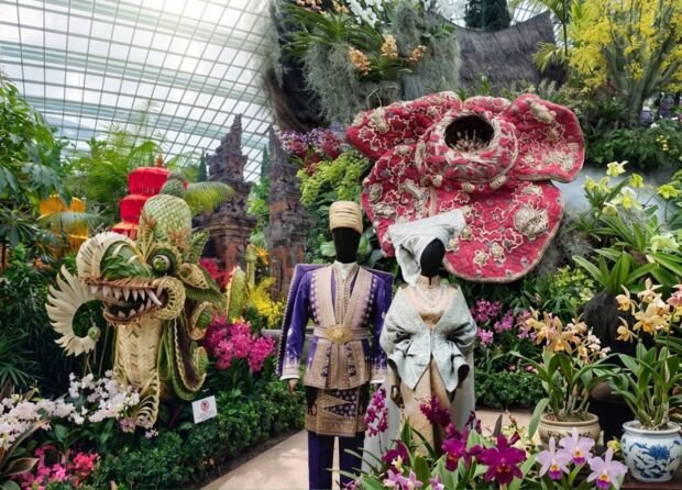 INDONESIA X SINGAPORE ORCHID EXTRAVAGANZA EXPLAINED