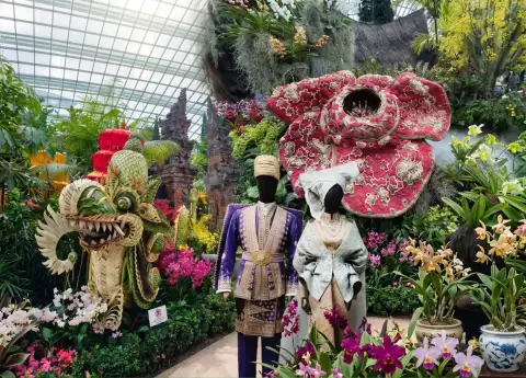 INDONESIA X SINGAPORE ORCHID EXTRAVAGANZA EXPLAINED 